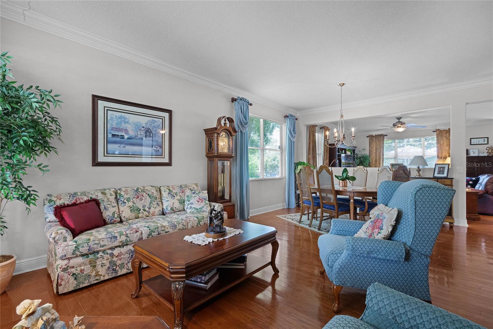 2426 BREEZY MEADOW RD, APOPKA, FL, 32712