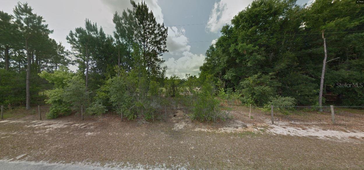 CALVIN LEE RD, GROVELAND, FL, 34736