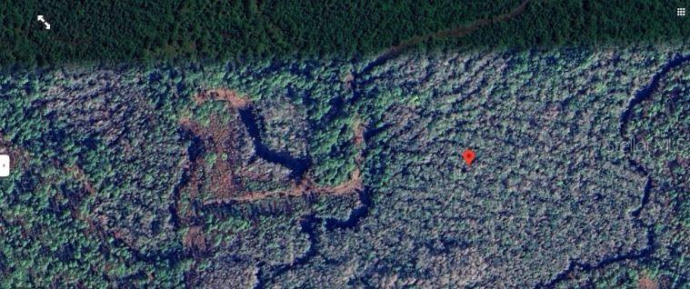 CALVIN LEE RD, GROVELAND, FL, 34736