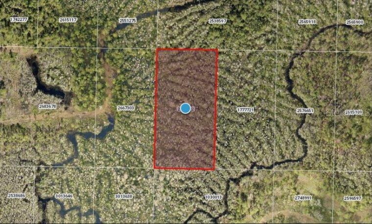 CALVIN LEE RD, GROVELAND, FL, 34736