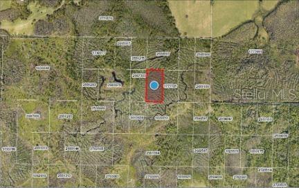 CALVIN LEE RD, GROVELAND, FL, 34736