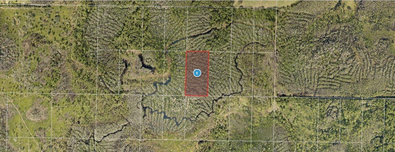 CALVIN LEE RD, GROVELAND, FL, 34736