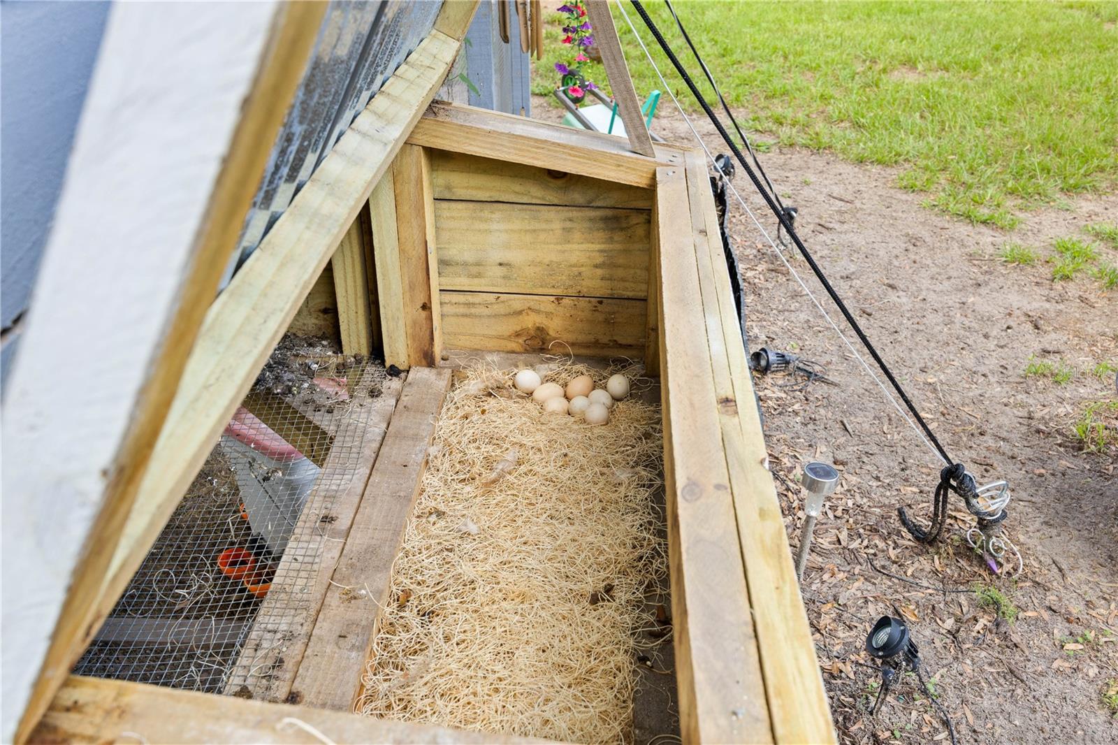 2924 SE 142ND PL, SUMMERFIELD, FL, 34491