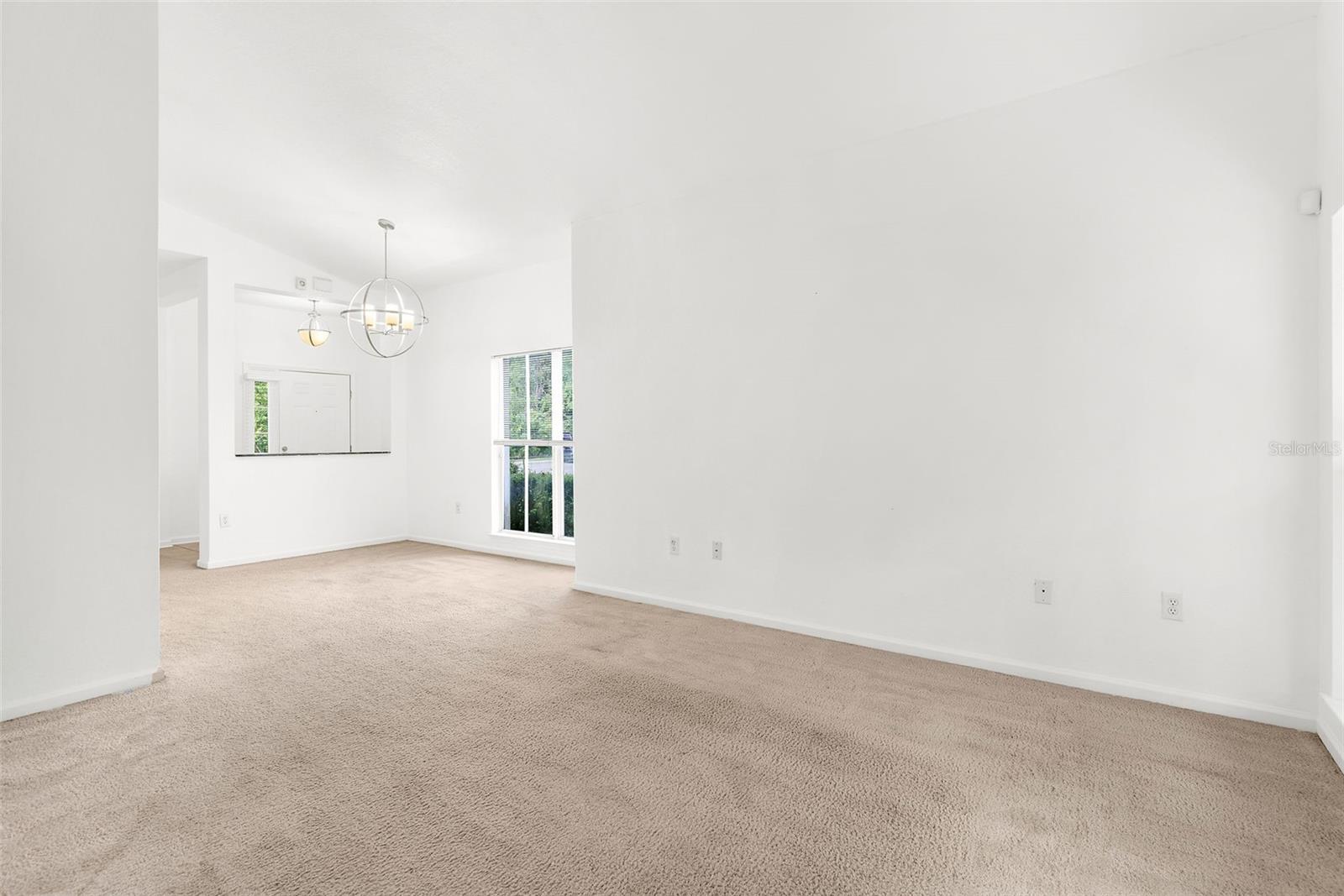 8202 DOWN ROYAL RD, TAMPA, FL, 33610