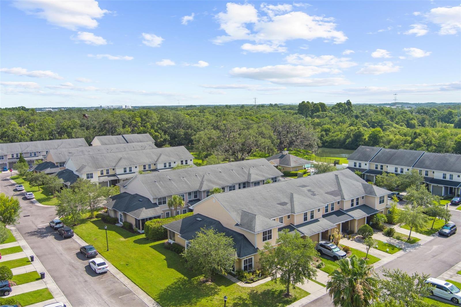 8202 DOWN ROYAL RD, TAMPA, FL, 33610