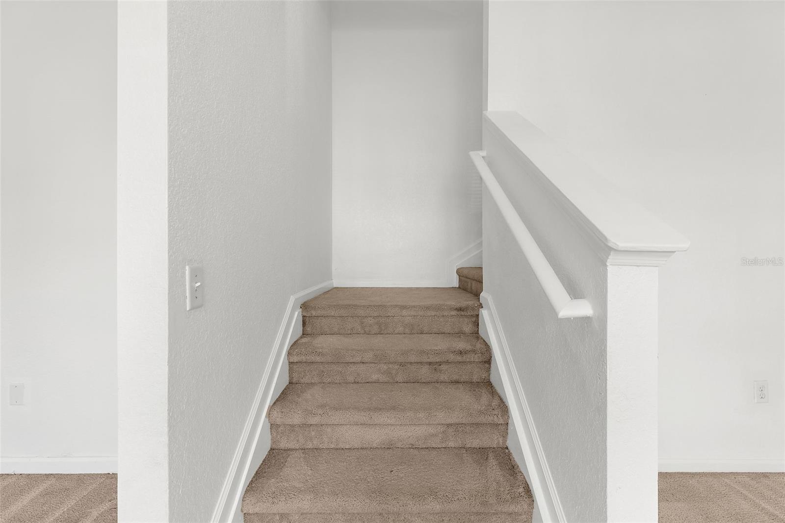 8202 DOWN ROYAL RD, TAMPA, FL, 33610