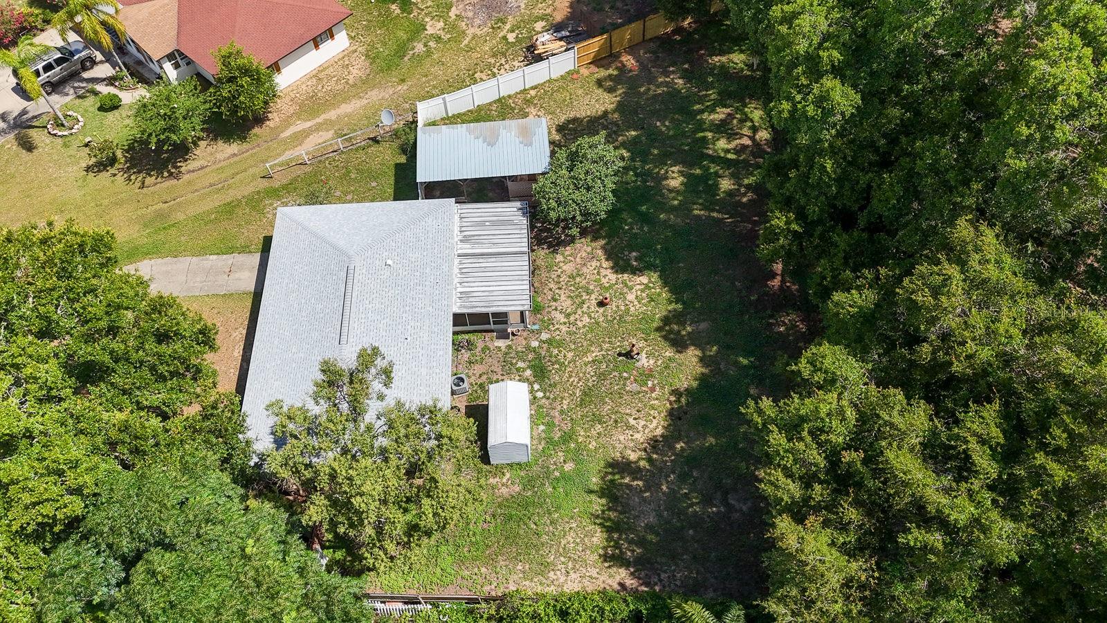 13449 ASHLEY CT, GRAND ISLAND, FL, 32735