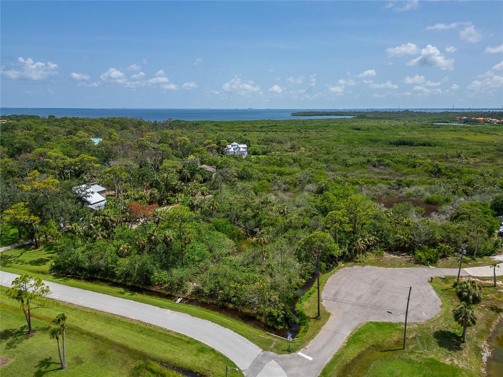 STRATHMORE AVE, OLDSMAR, FL, 34677