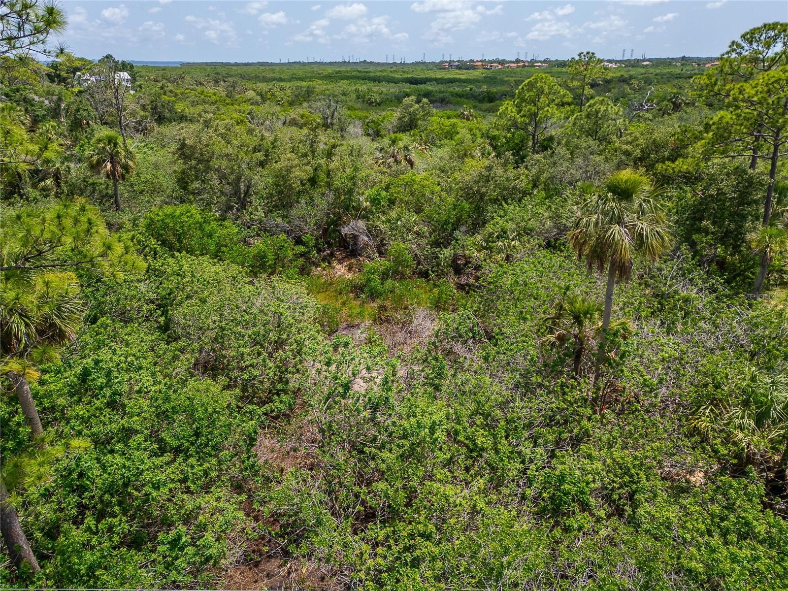 STRATHMORE AVE, OLDSMAR, FL, 34677