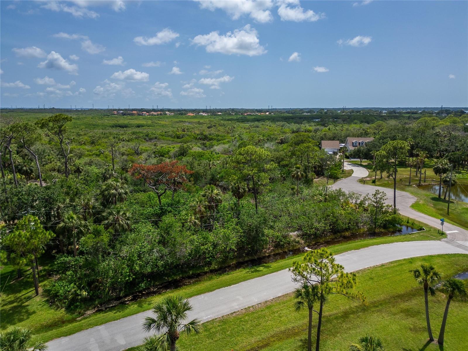 STRATHMORE AVE, OLDSMAR, FL, 34677