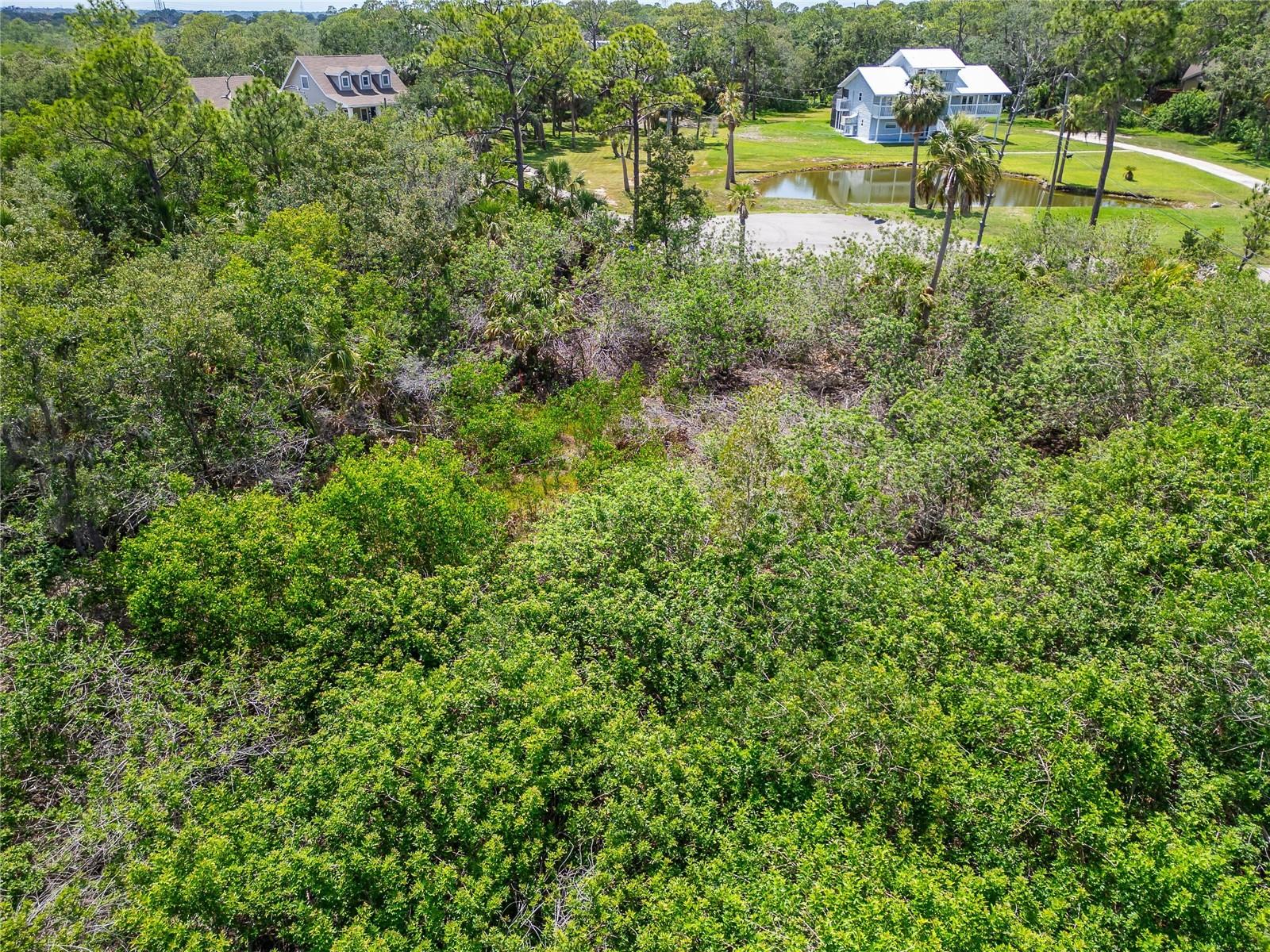 STRATHMORE AVE, OLDSMAR, FL, 34677