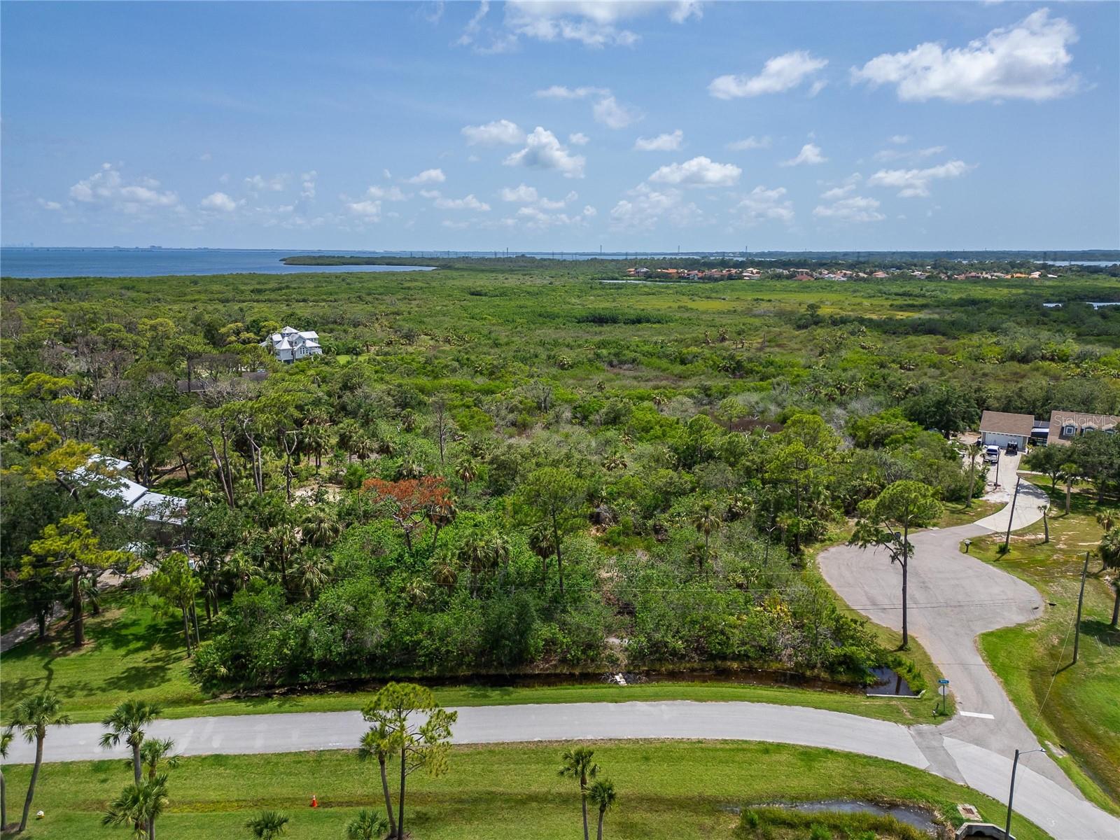 STRATHMORE AVE, OLDSMAR, FL, 34677