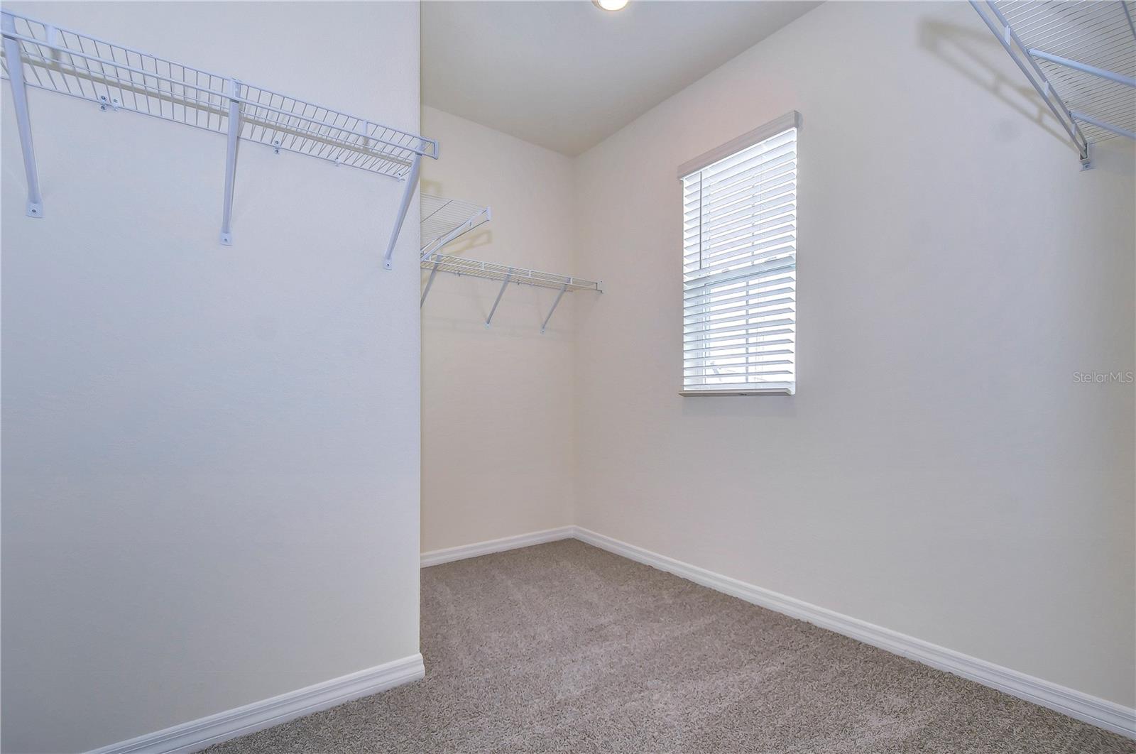 9176 FORGE BREEZE LOOP, WESLEY CHAPEL, FL, 33545