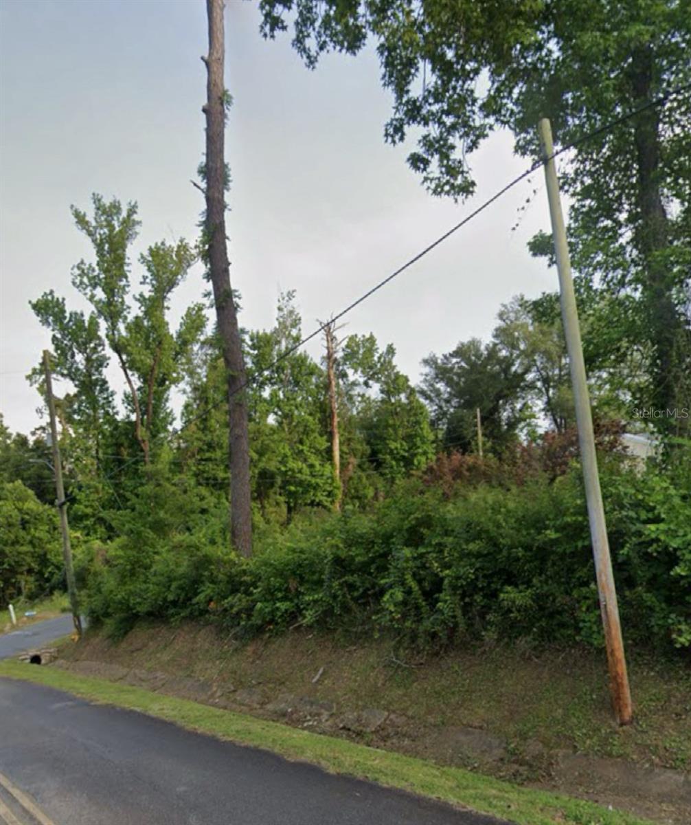 W BONITA ST, CHATTAHOOCHEE, FL, 32324