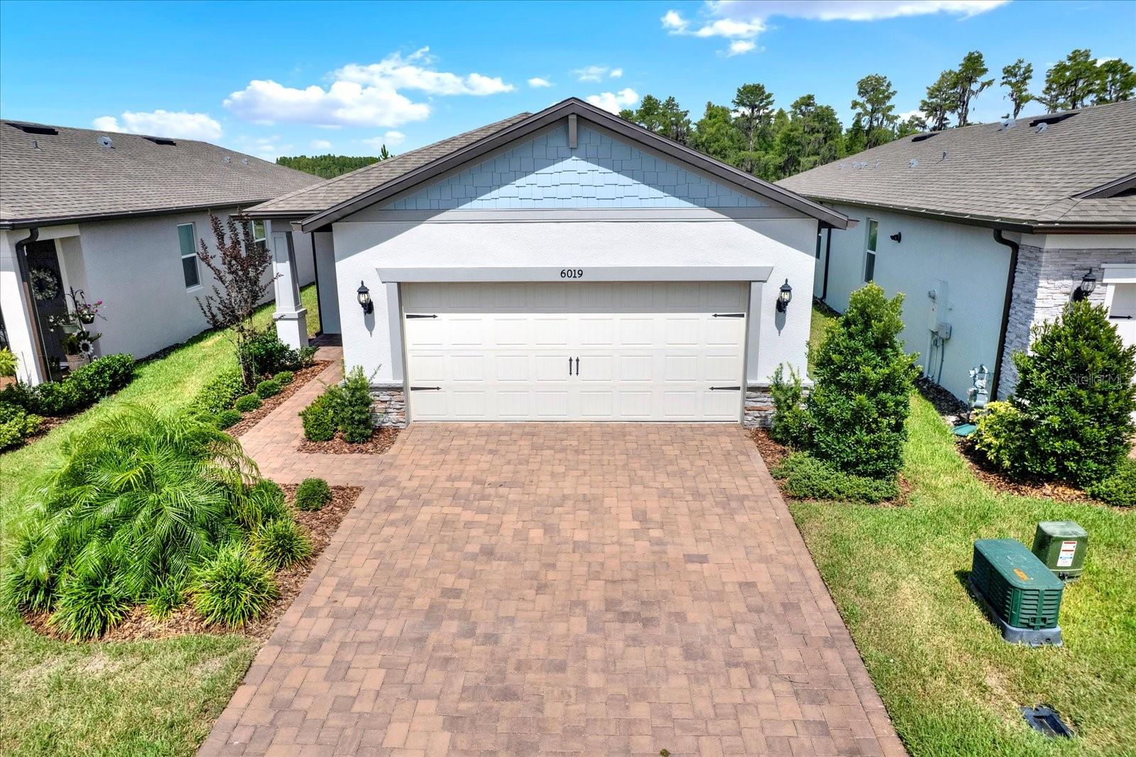 6019 SHOREBIRD BR, LAND O LAKES, FL, 34638