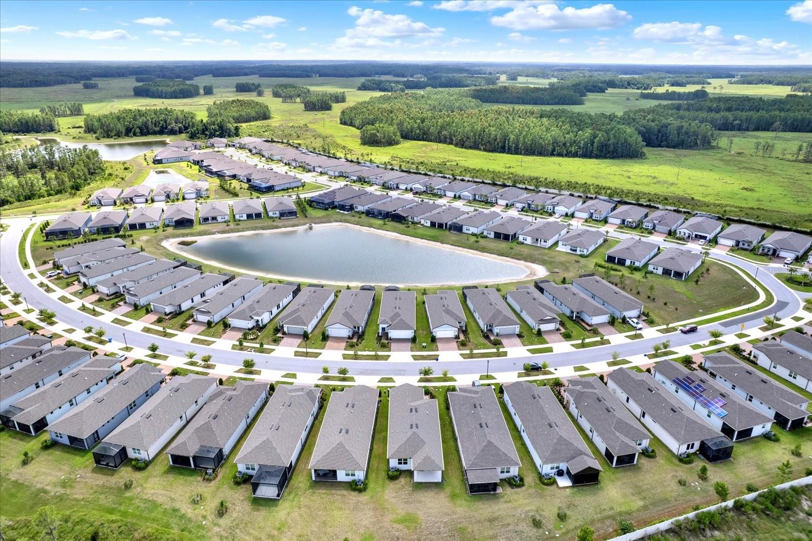 6019 SHOREBIRD BR, LAND O LAKES, FL, 34638