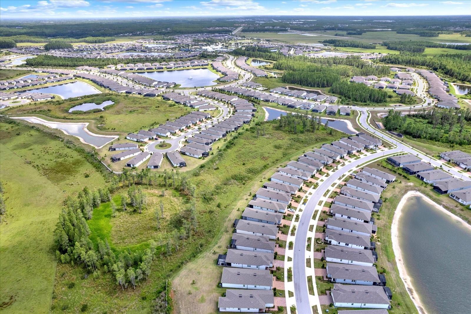 6019 SHOREBIRD BR, LAND O LAKES, FL, 34638