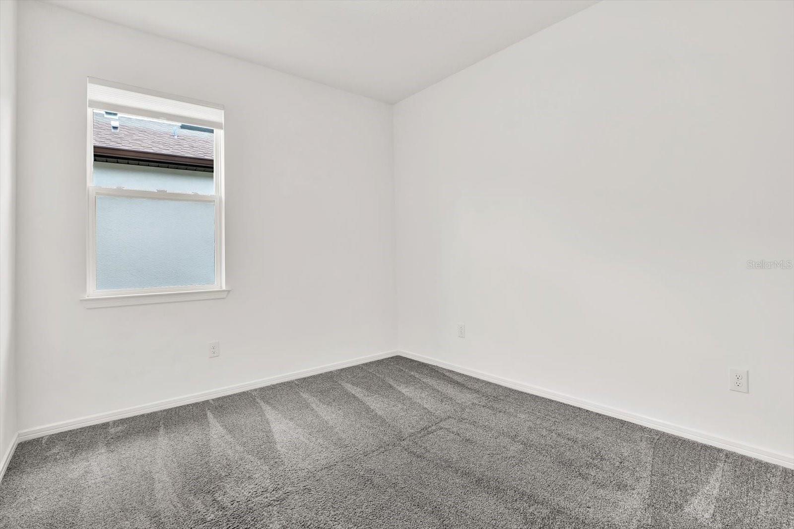 6019 SHOREBIRD BR, LAND O LAKES, FL, 34638