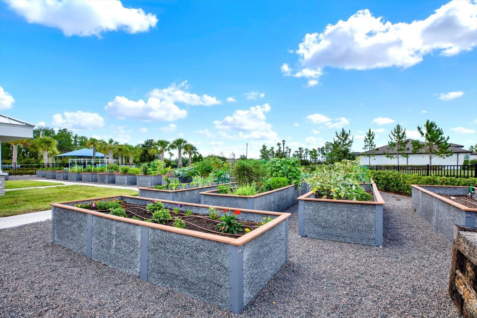 6019 SHOREBIRD BR, LAND O LAKES, FL, 34638