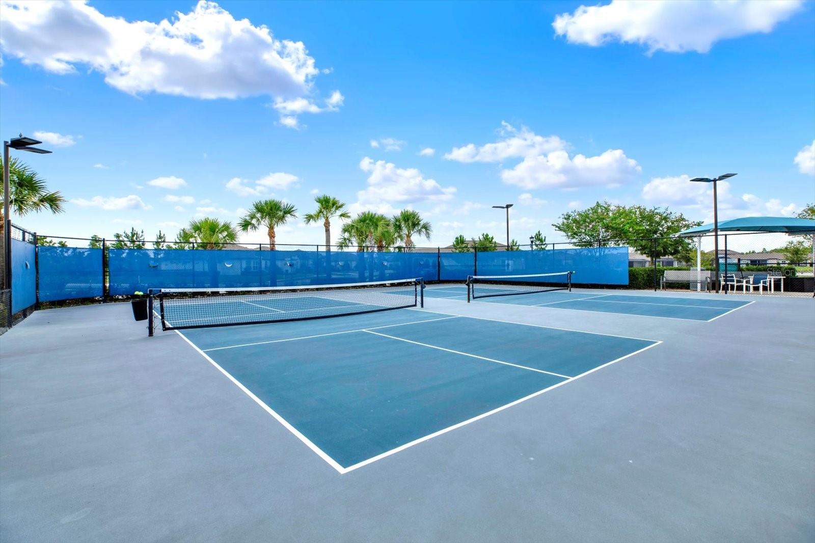 6019 SHOREBIRD BR, LAND O LAKES, FL, 34638