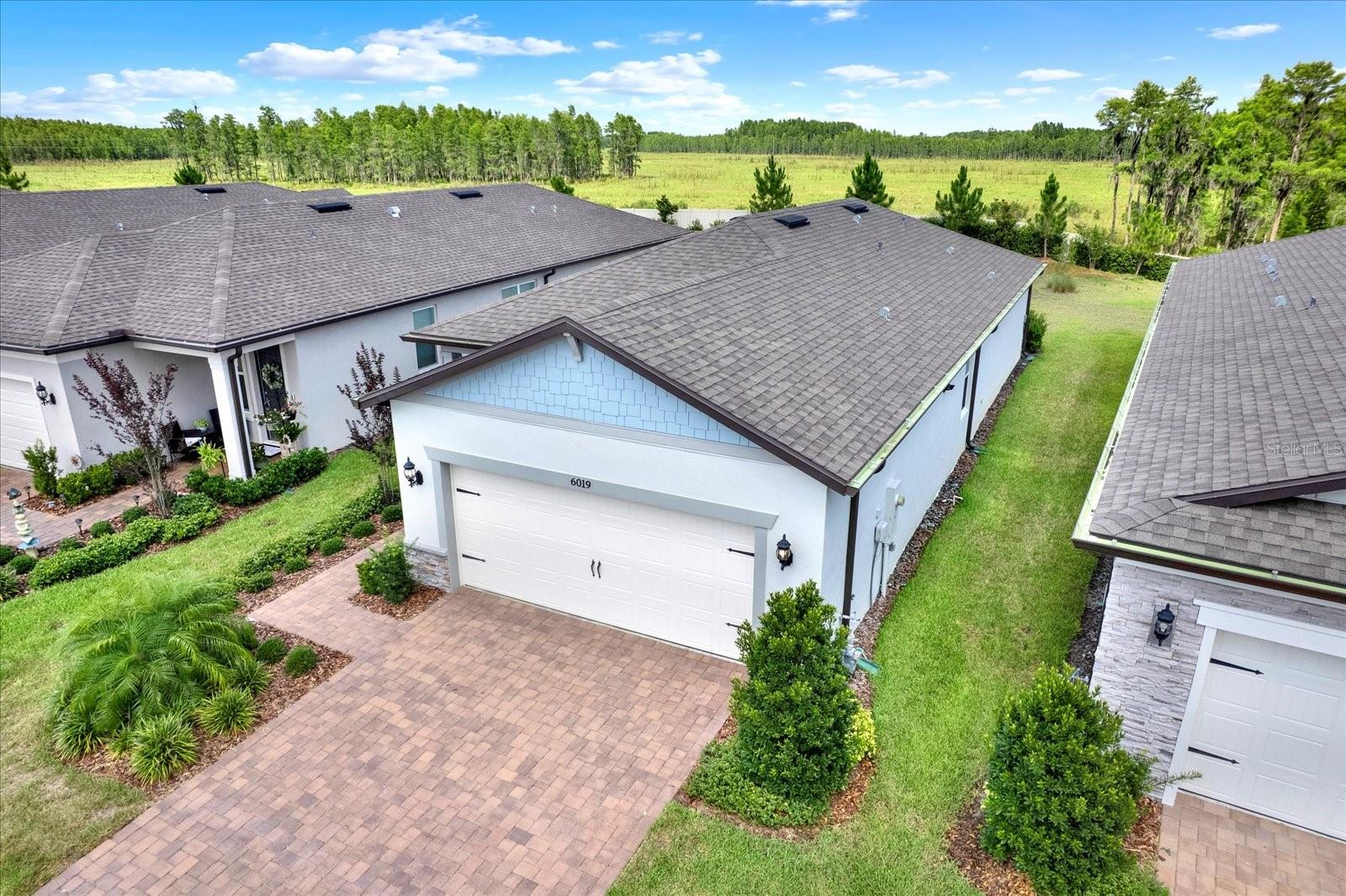 6019 SHOREBIRD BR, LAND O LAKES, FL, 34638