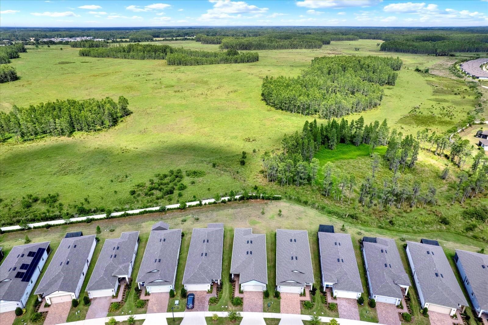 6019 SHOREBIRD BR, LAND O LAKES, FL, 34638