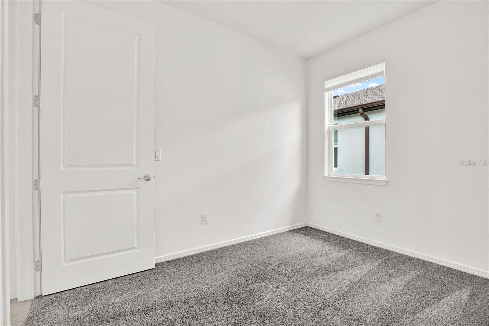 6019 SHOREBIRD BR, LAND O LAKES, FL, 34638