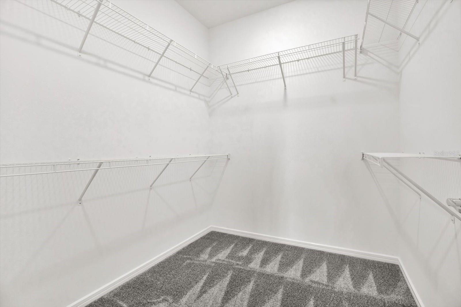 6019 SHOREBIRD BR, LAND O LAKES, FL, 34638