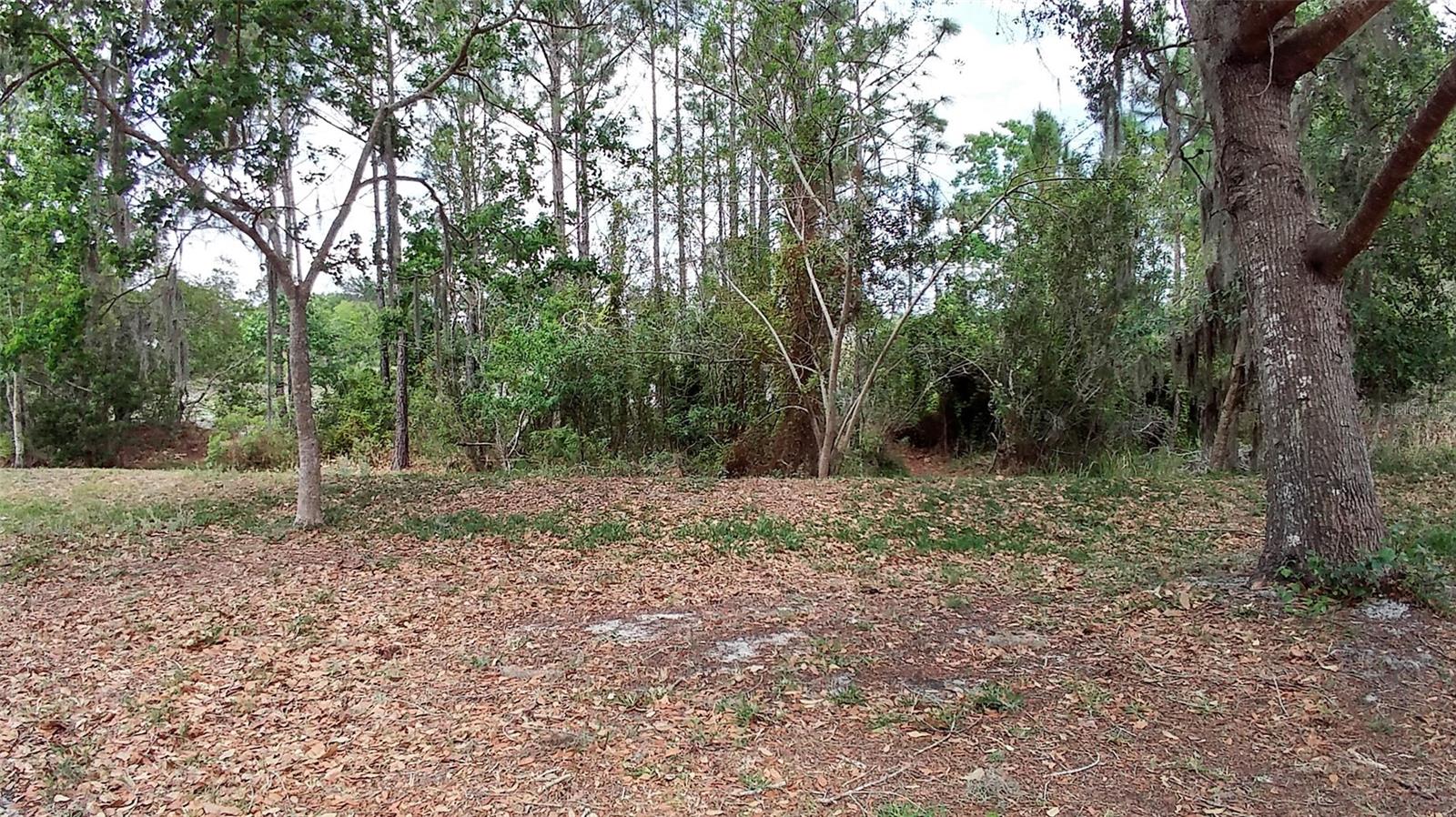 4043 STONEFIELD DR, ORLANDO, FL, 32826