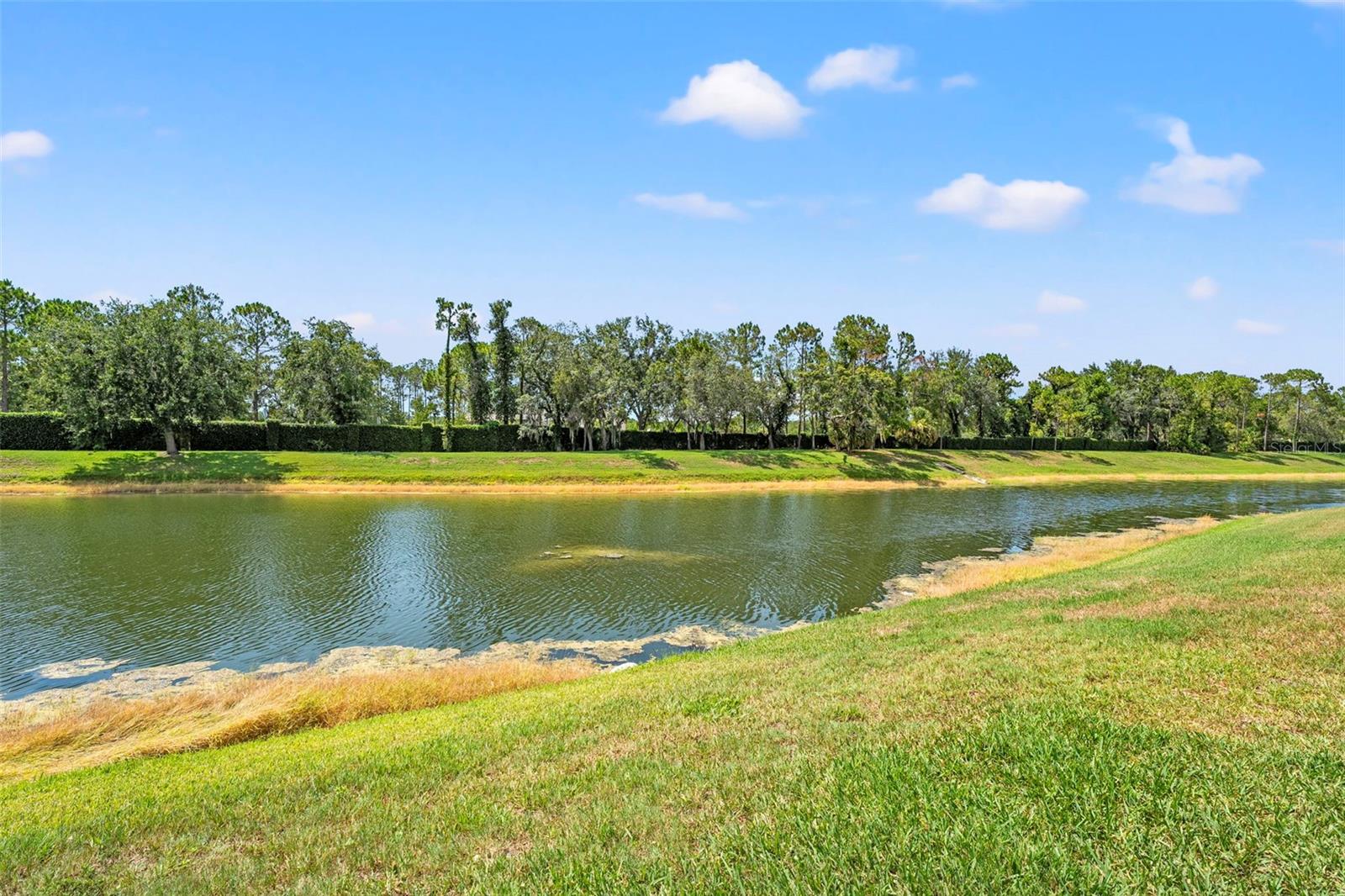 6282 DARIEN WAY, SPRING HILL, FL, 34606