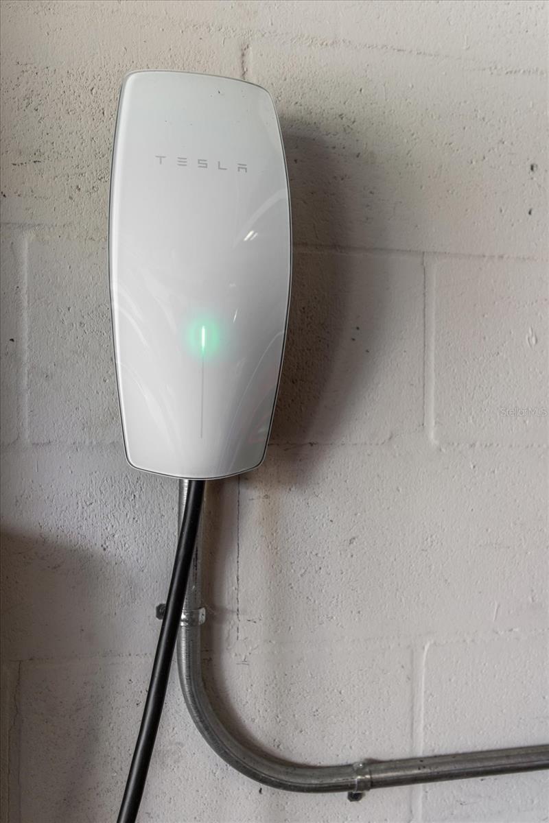 12415 HITCHING ST, ODESSA, FL, 33556