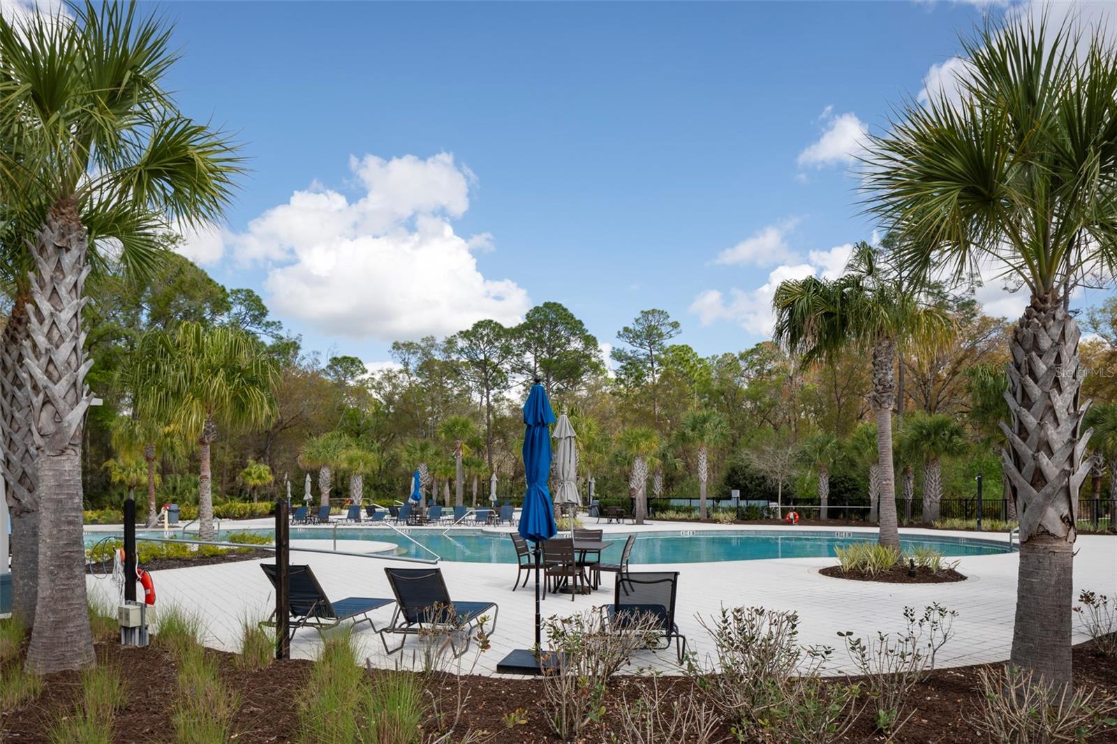 4146 BEXLEY VILLAGE DR, LAND O LAKES, FL, 34638