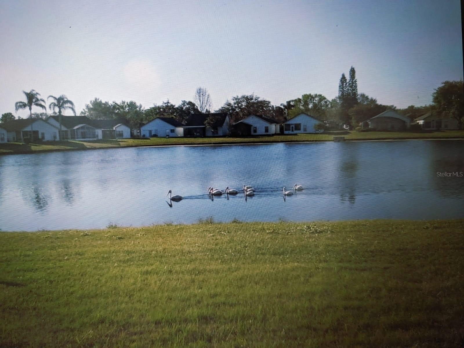 5661 PARKVIEW LAKE DR, ORLANDO, FL, 32821