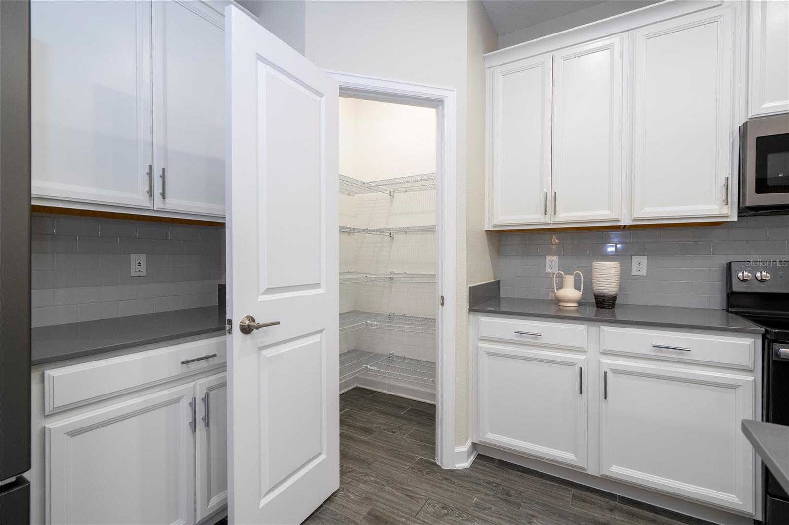 1097 TRAPPERS TRAIL LOOP, DAVENPORT, FL, 33896