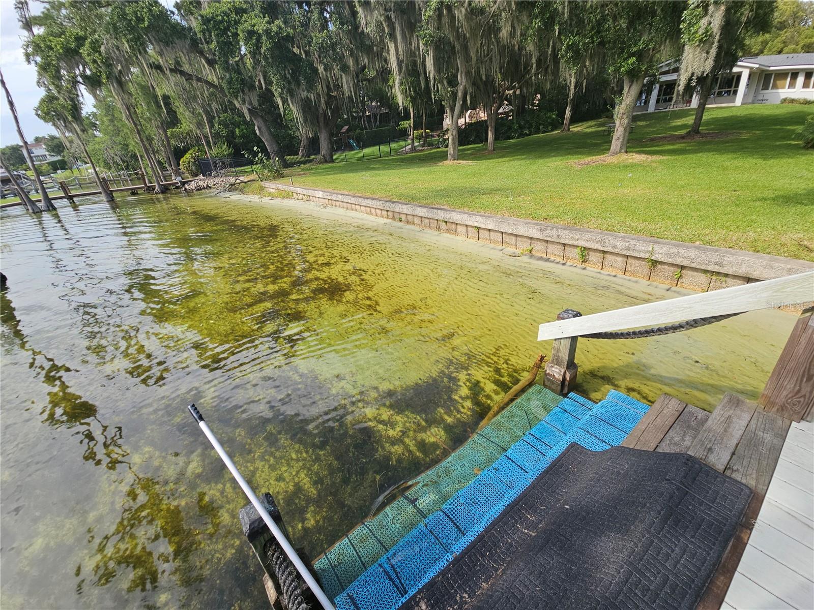 606 BUTLER ST, WINDERMERE, FL, 34786