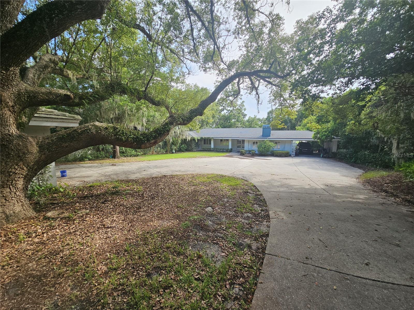 606 BUTLER ST, WINDERMERE, FL, 34786