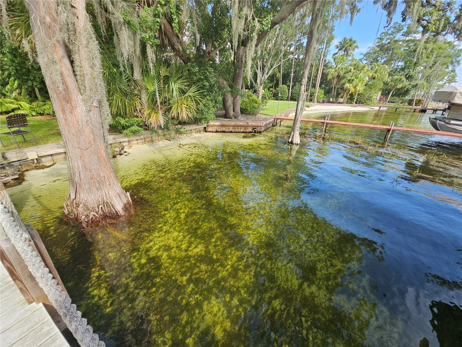 606 BUTLER ST, WINDERMERE, FL, 34786