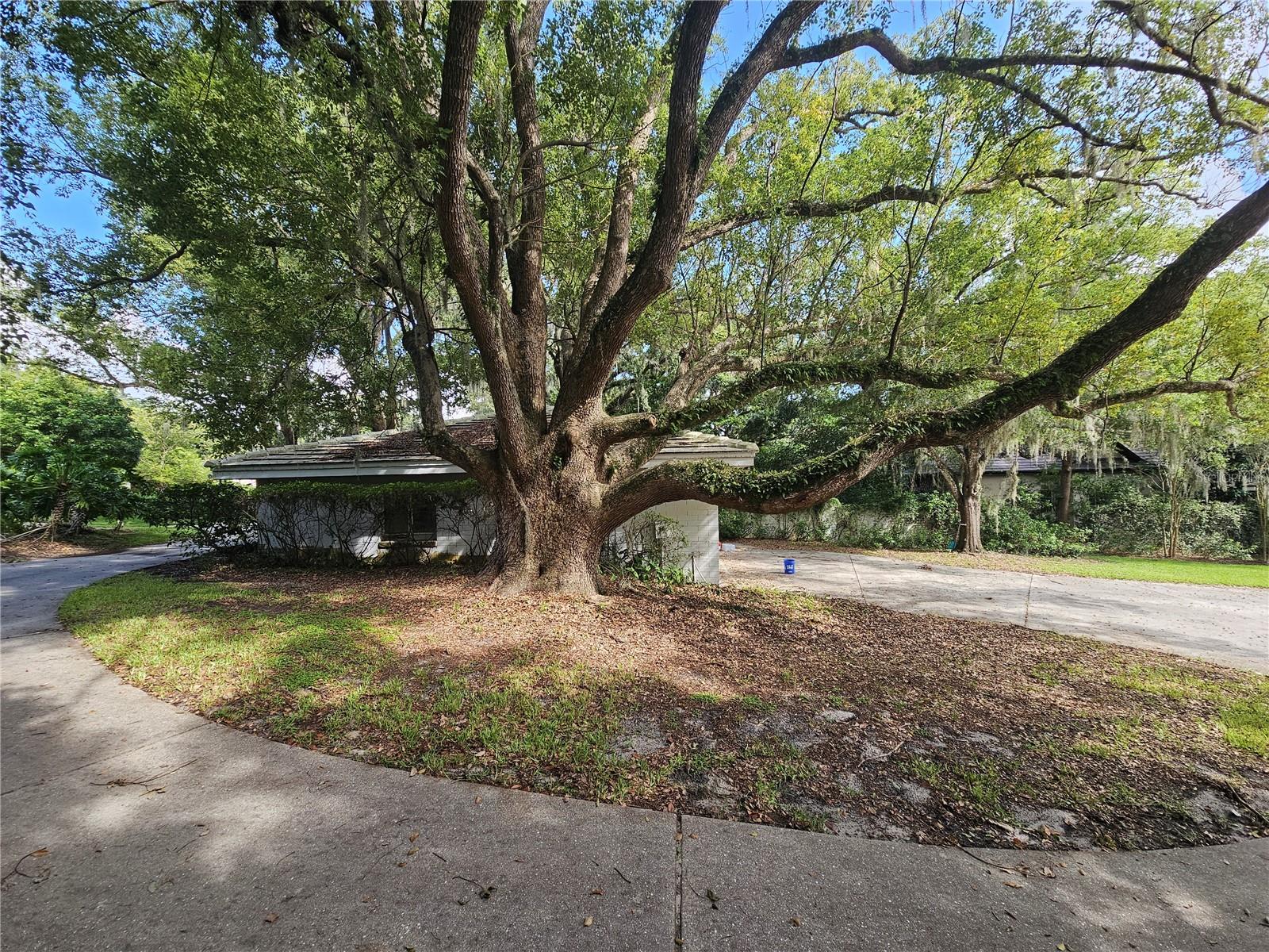 606 BUTLER ST, WINDERMERE, FL, 34786