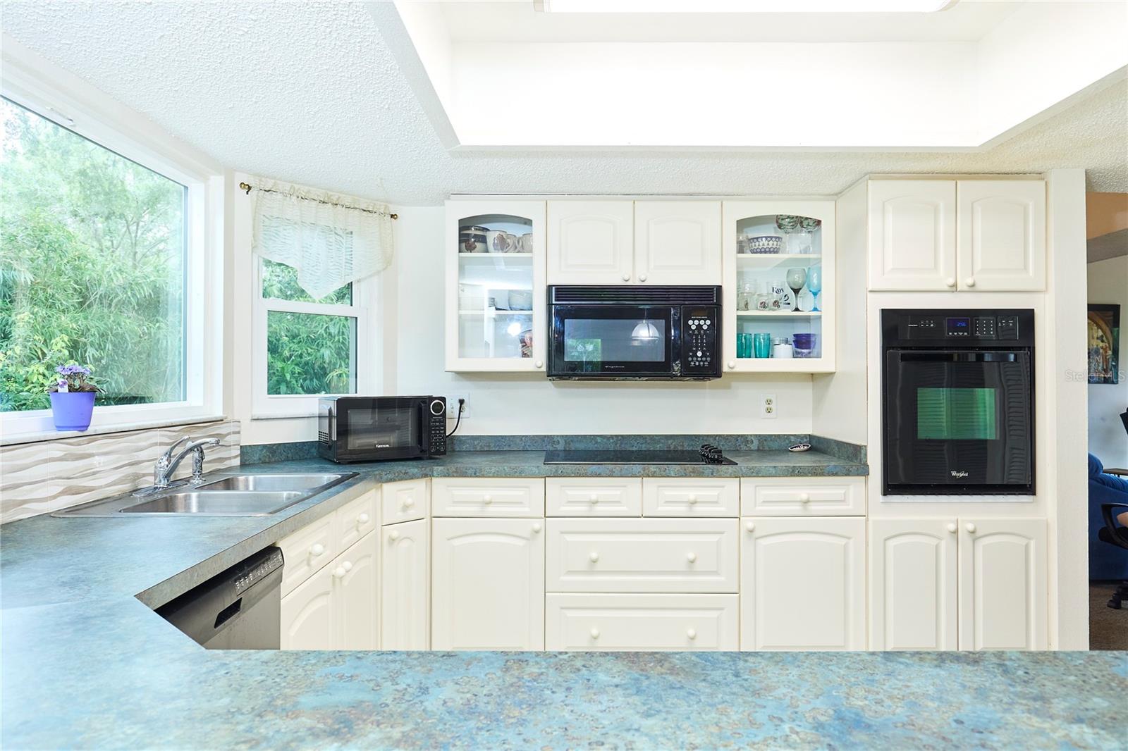 15917 DOVER CLIFFE DR, LUTZ, FL, 33548