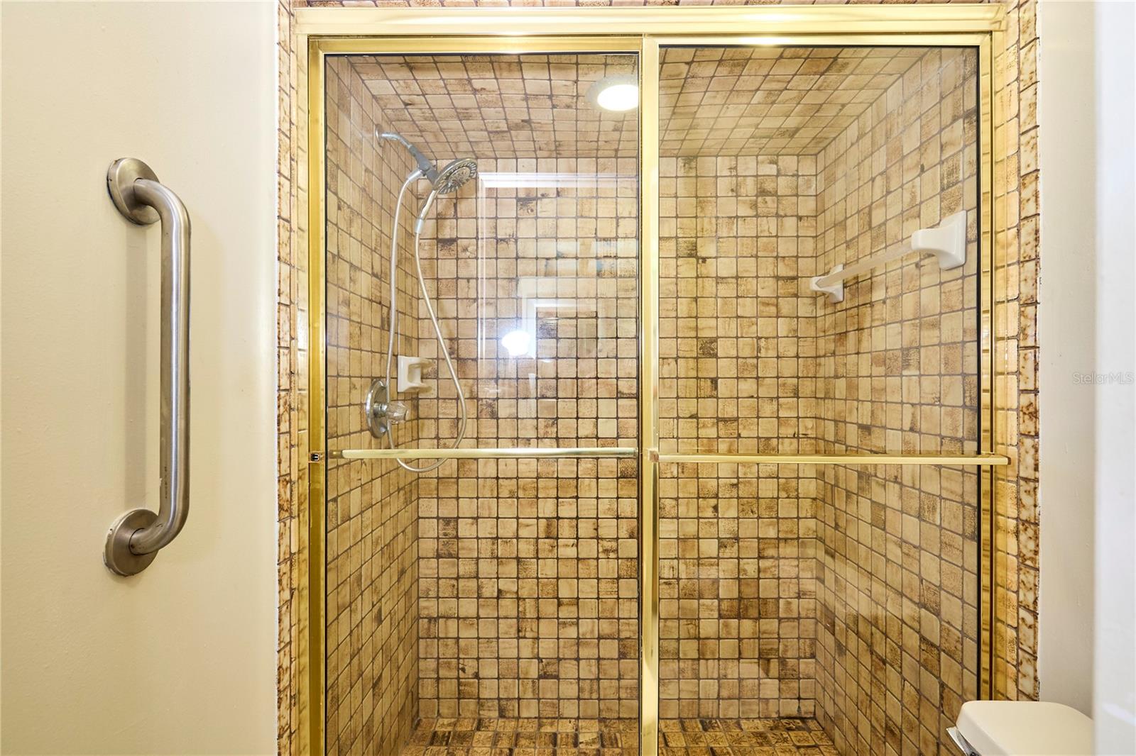 15917 DOVER CLIFFE DR, LUTZ, FL, 33548