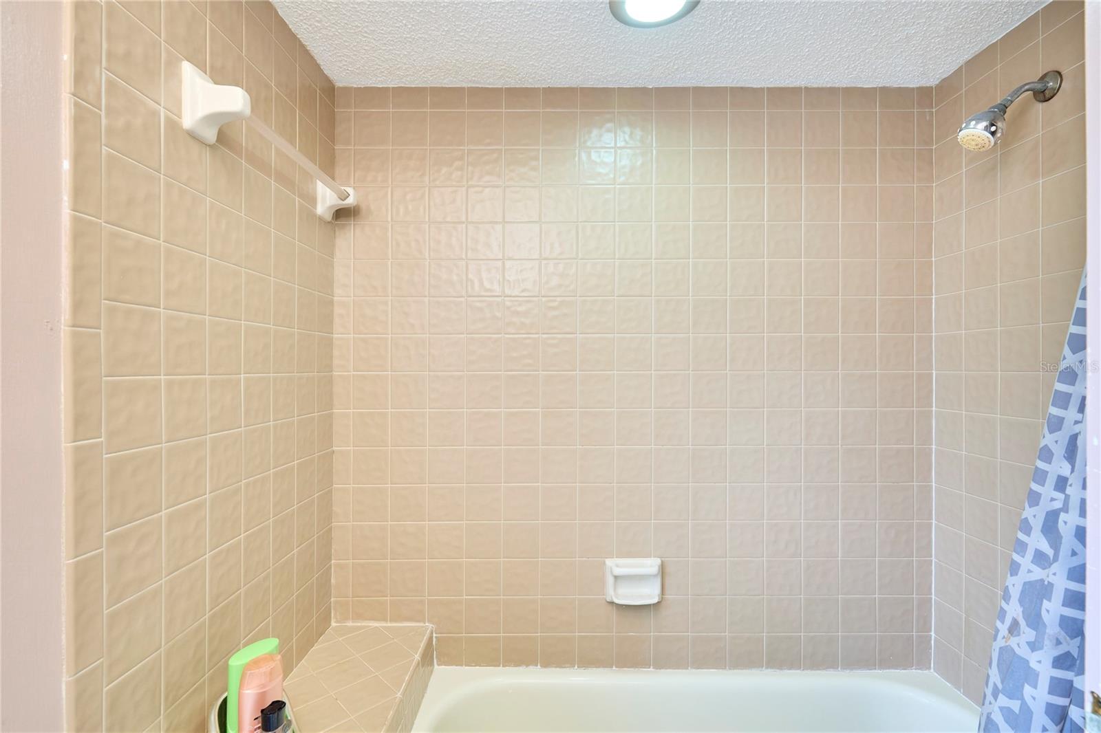 15917 DOVER CLIFFE DR, LUTZ, FL, 33548