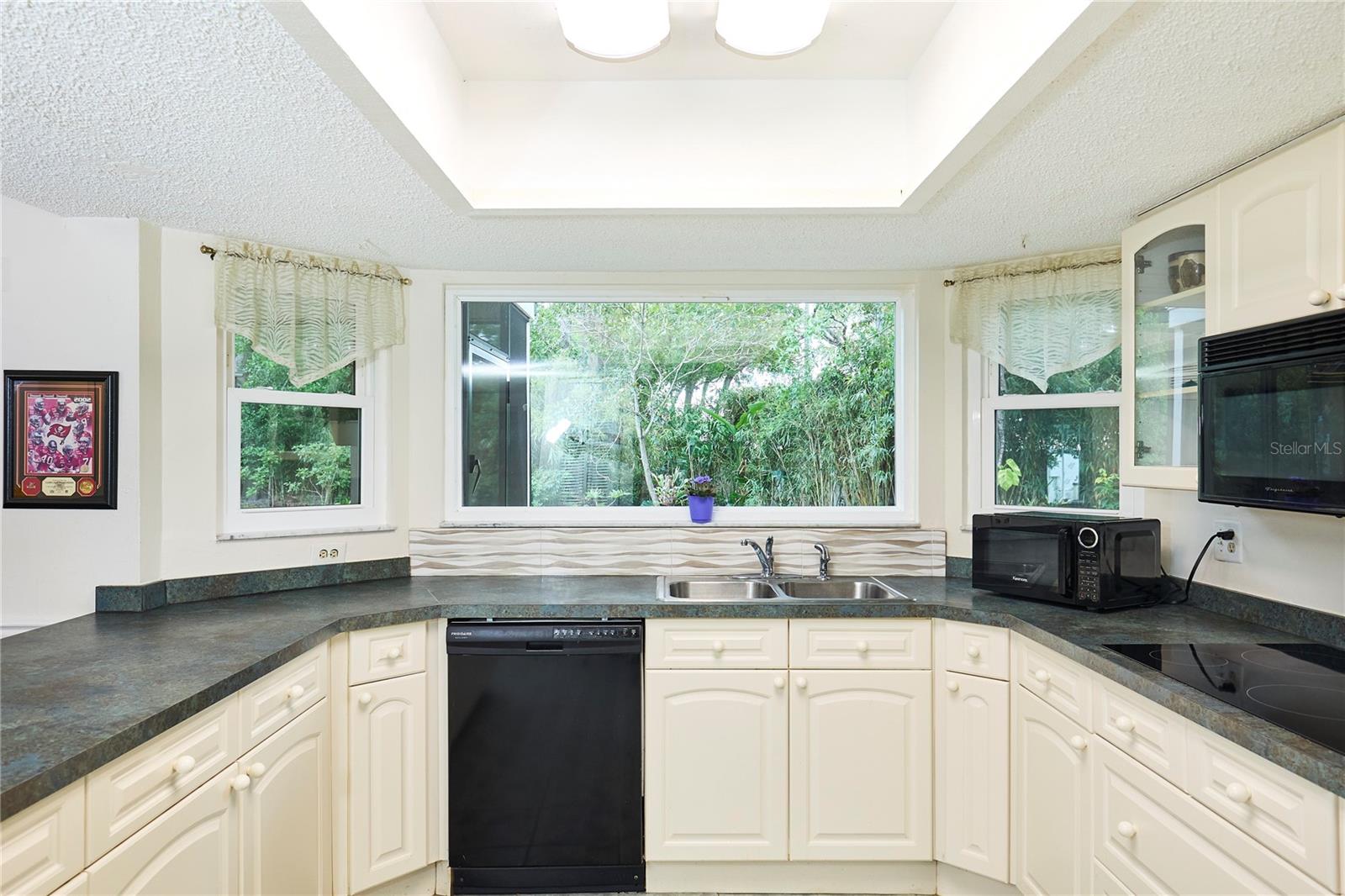 15917 DOVER CLIFFE DR, LUTZ, FL, 33548