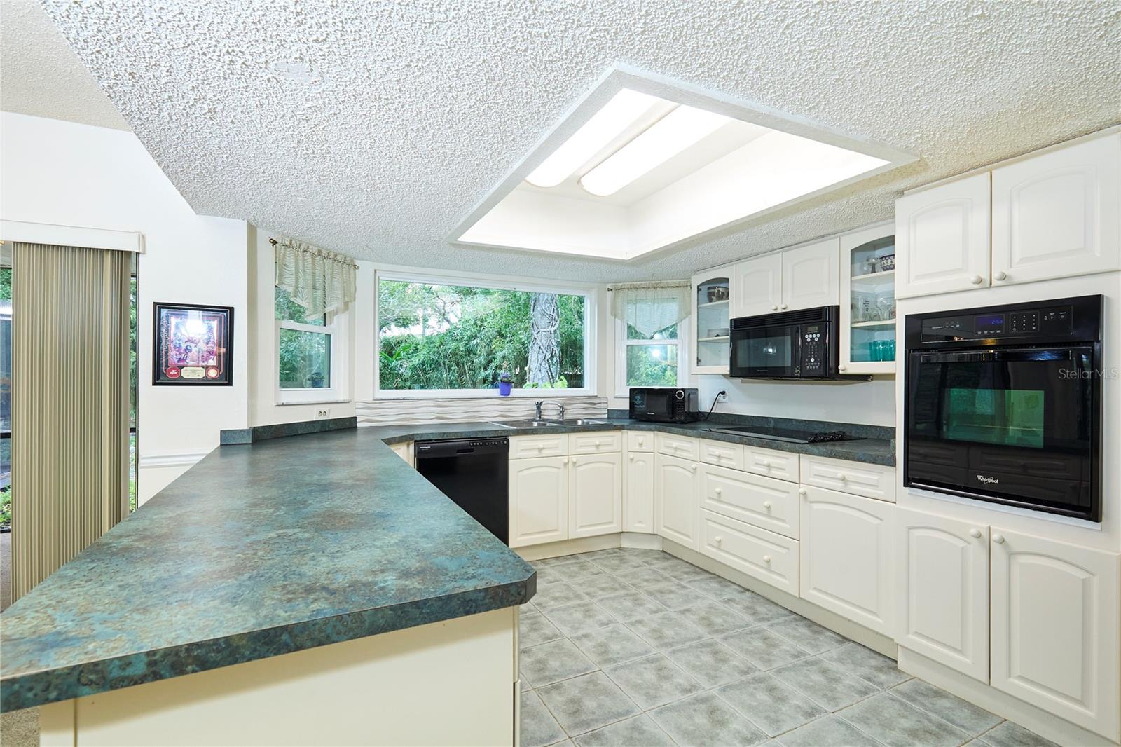 15917 DOVER CLIFFE DR, LUTZ, FL, 33548