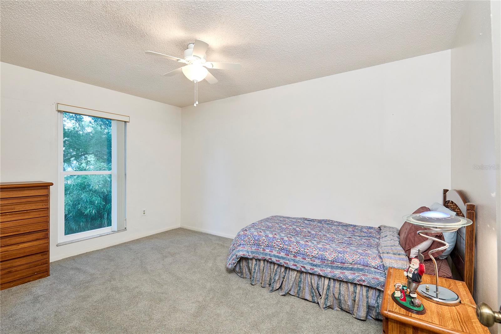 15917 DOVER CLIFFE DR, LUTZ, FL, 33548