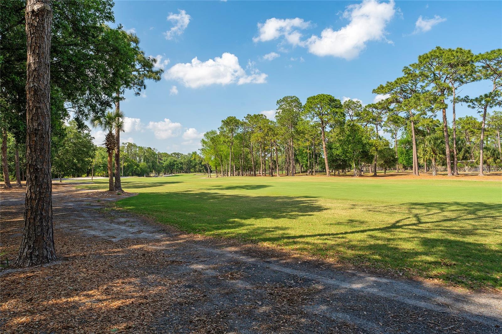 1111 PINAR DR, ORLANDO, FL, 32825