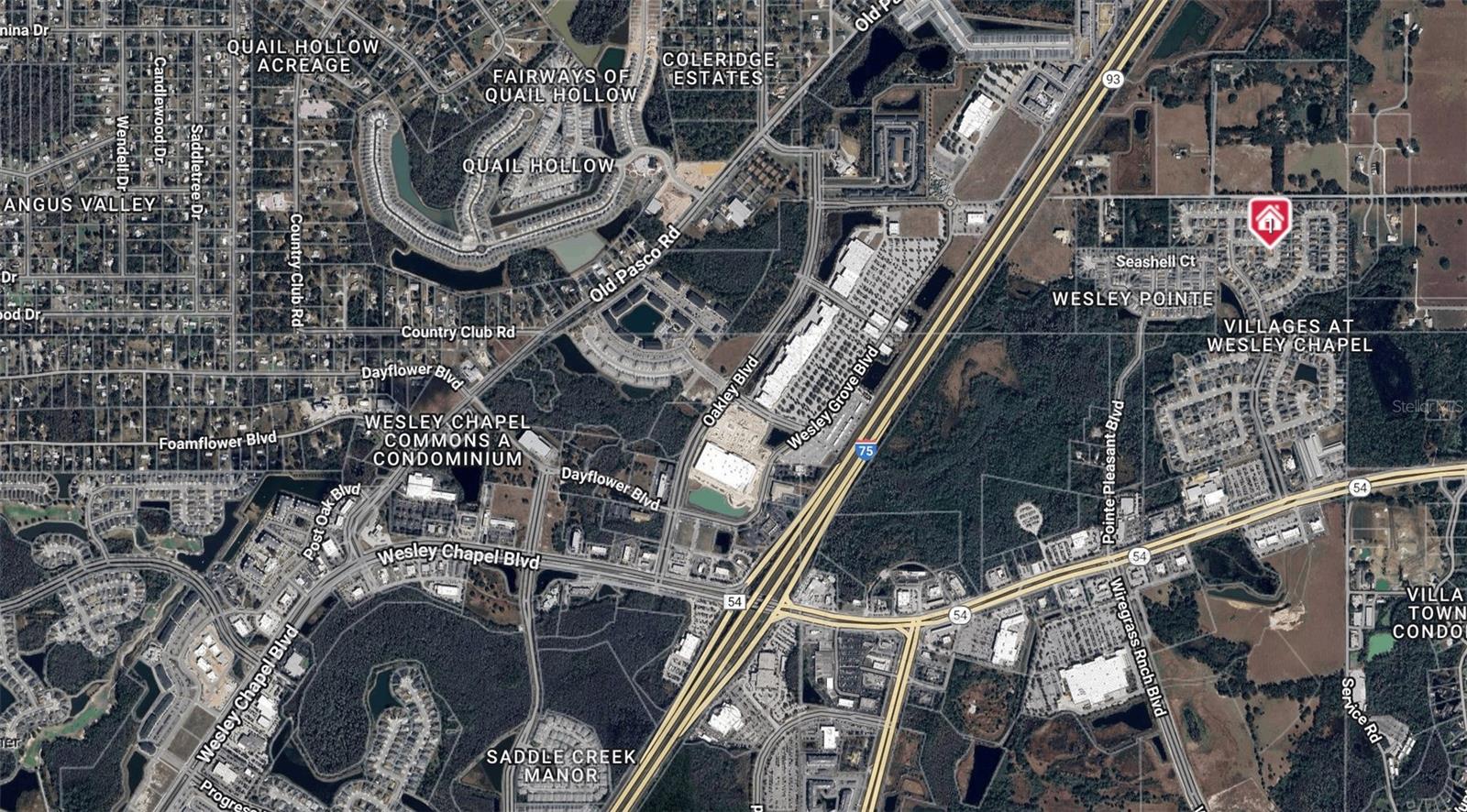 28826 WINDOVER ST, WESLEY CHAPEL, FL, 33545