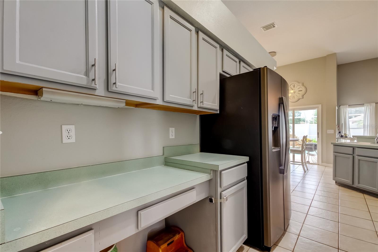 28826 WINDOVER ST, WESLEY CHAPEL, FL, 33545