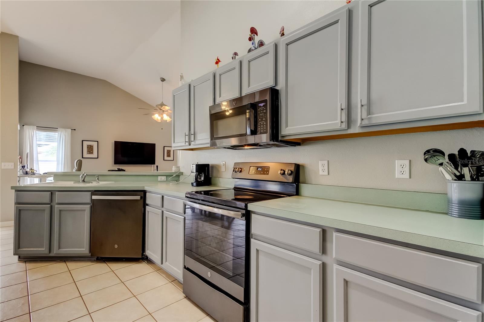 28826 WINDOVER ST, WESLEY CHAPEL, FL, 33545