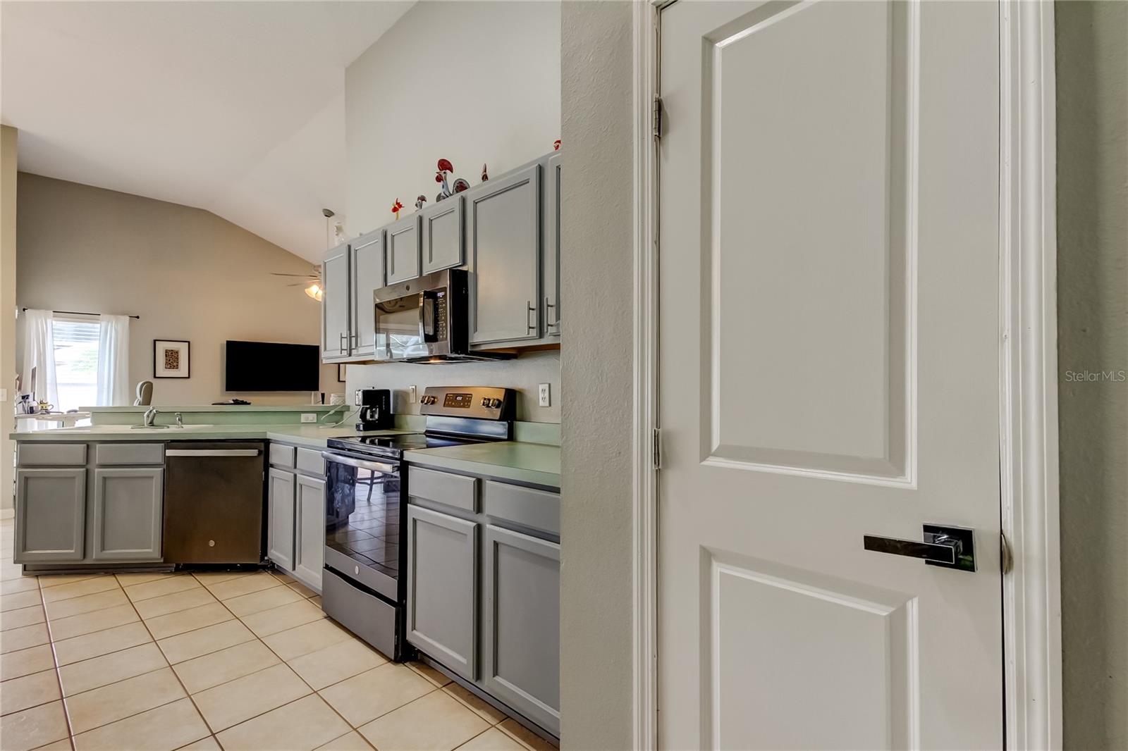 28826 WINDOVER ST, WESLEY CHAPEL, FL, 33545