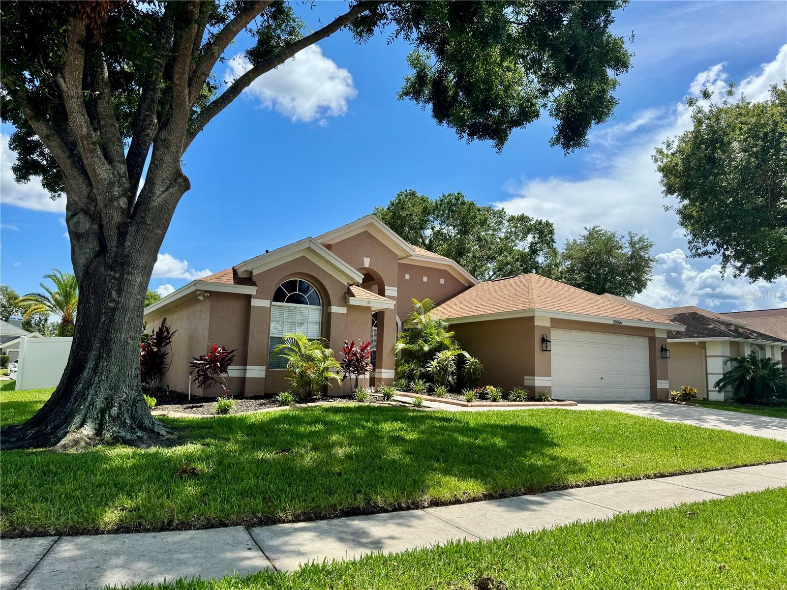 28826 WINDOVER ST, WESLEY CHAPEL, FL, 33545